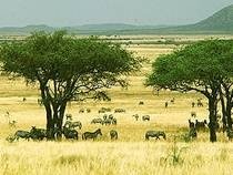 e0b89ee0b8b7e0b88a-e0b89ee0b8a3e0b8a3e0b893-e0b898e0b8a3e0b8a3e0b8a1e0b88ae0b8b2e0b895e0b8b4-e0b981e0b89ae0b89a-e0b8aae0b8b0-e0b8a7