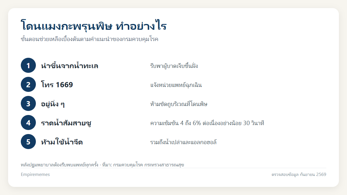 อินโฟกราฟิกสรุป ความหมายของแมงกะพรุน สัญลักษณ์ ชีววิทยา และวิธีรับมือเมื่อโดนพิษ