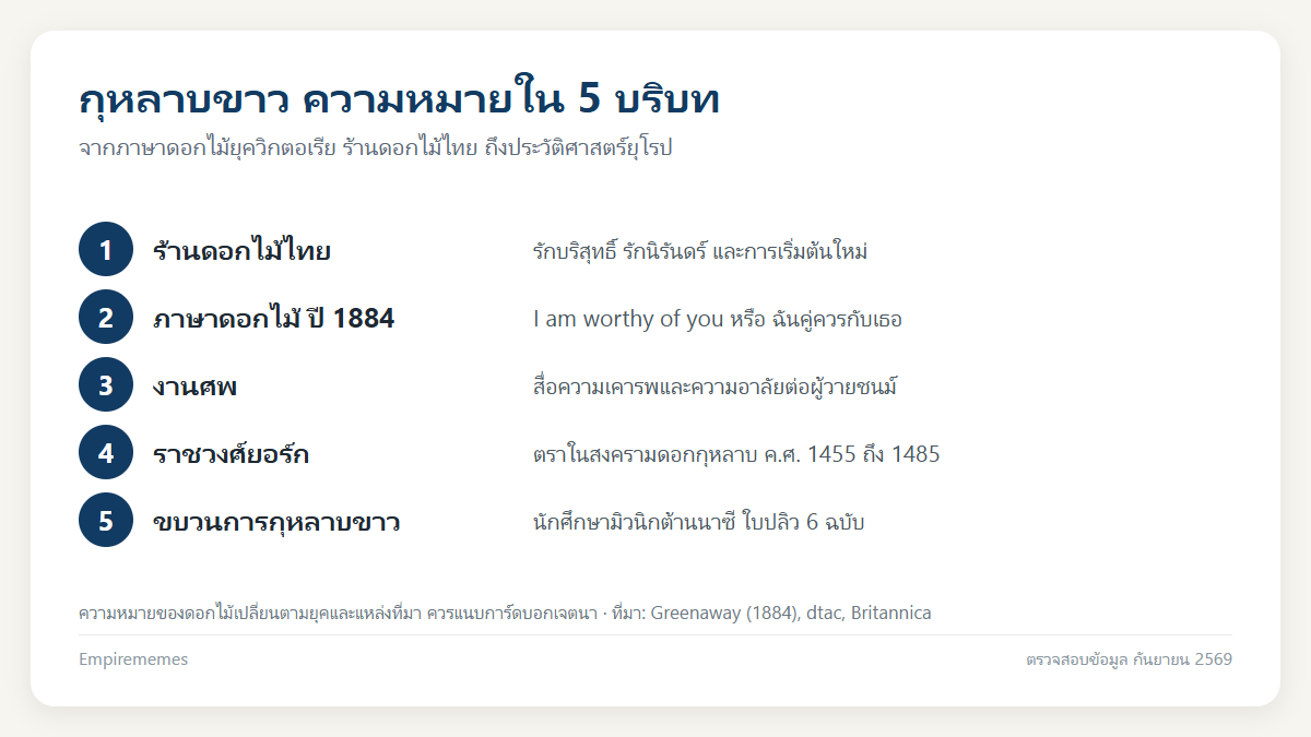 อินโฟกราฟิกสรุป กุหลาบขาว ความหมาย: ภาษาดอกไม้ งานแต่ง งานศพ และประวัติศาสตร์