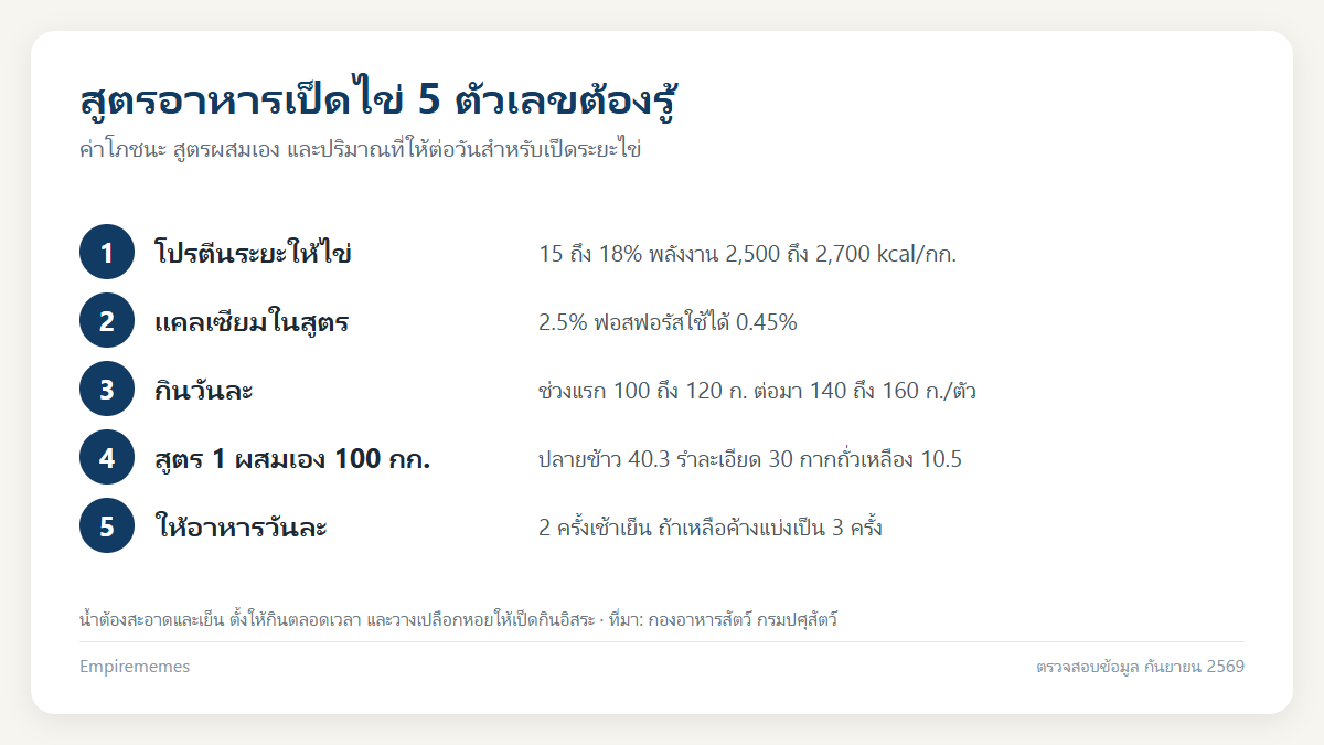 อินโฟกราฟิกสรุป สูตรอาหารเป็ดไข่ทำเองตามกรมปศุสัตว์ โปรตีนเท่าไหร่ กินวันละกี่กรัม