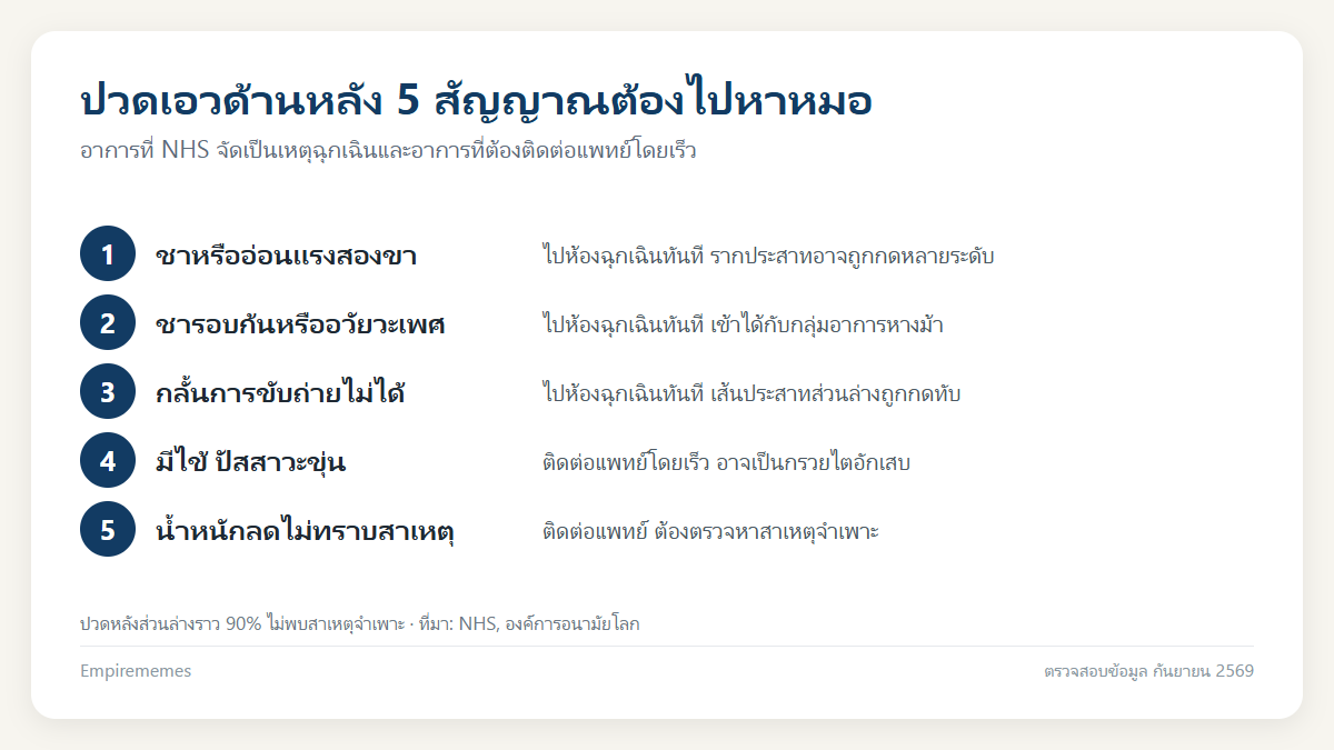 ปวดเอวด้านหลังเกิดจากอะไร แยกกล้ามเนื้อ หมอนรองกระดูก และโรคไต อินโฟกราฟิกสรุป ปวดเอวด้านหลังเกิดจากอะไร แยกกล้ามเนื้อ หมอนรองกระดูก และโรคไต