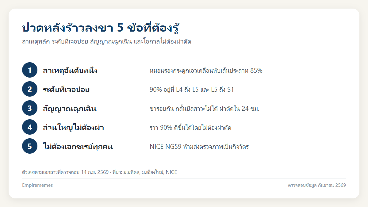 อินโฟกราฟิกสรุป ปวดหลังร้าวลงขาเกิดจากอะไร แยกสาเหตุ สัญญาณอันตราย และต้องผ่าตัดไหม