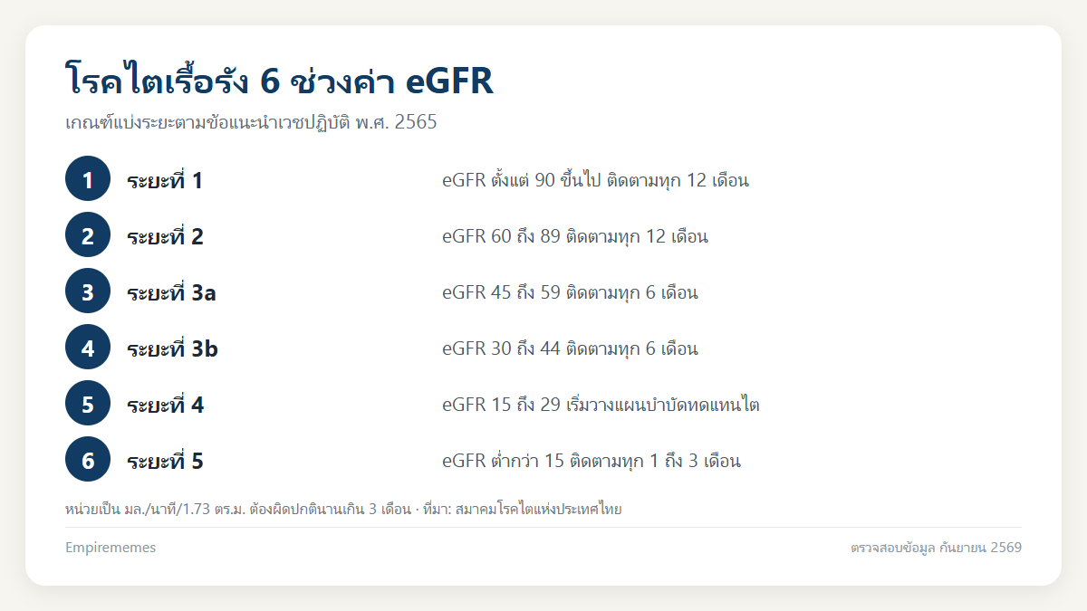 อินโฟกราฟิกสรุป อาการโรคไต ระยะแรกสังเกตอย่างไร อ่านค่า eGFR และระยะไหนต้องฟอกไต