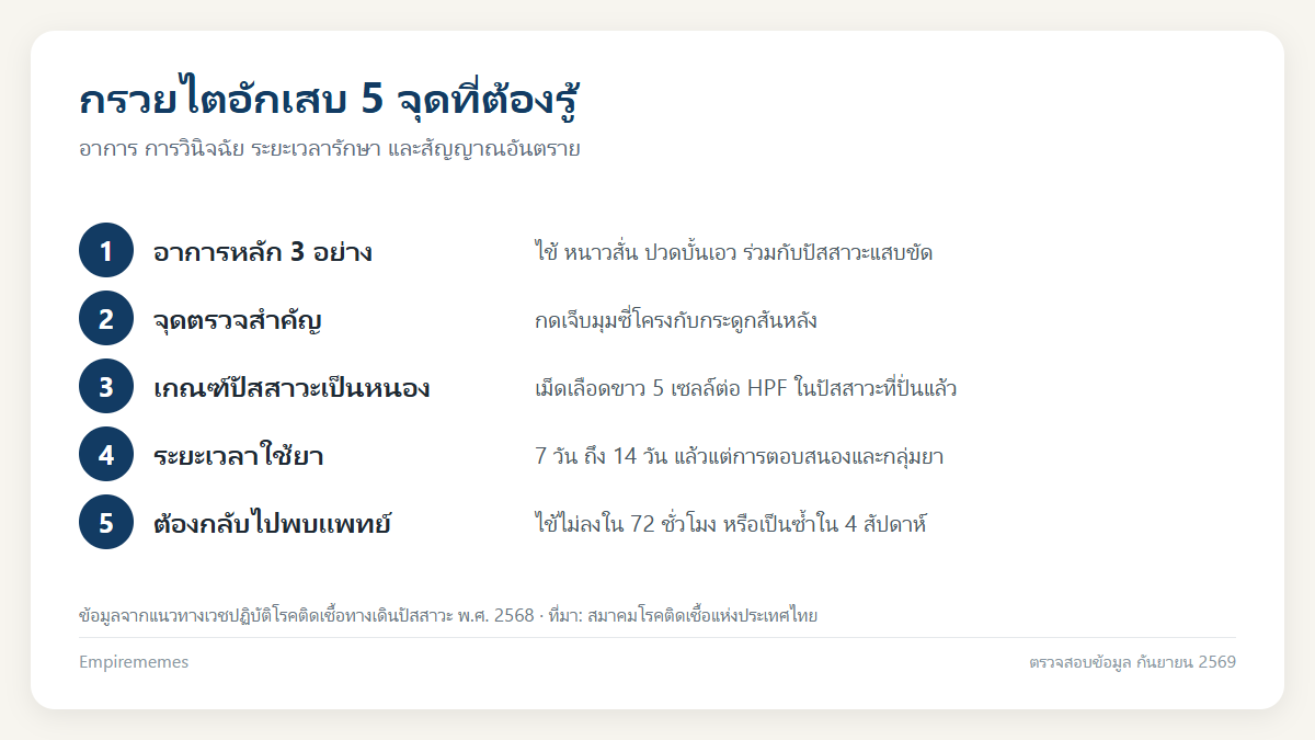 กรวยไตอักเสบอาการเป็นอย่างไร แยกจากปวดหลังธรรมดาและกระเพาะปัสสาวะอักเสบ อินโฟกราฟิกสรุป กรวยไตอักเสบอาการเป็นอย่างไร แยกจากปวดหลังธรรมดาและกระเพาะปัสสาวะอักเสบ